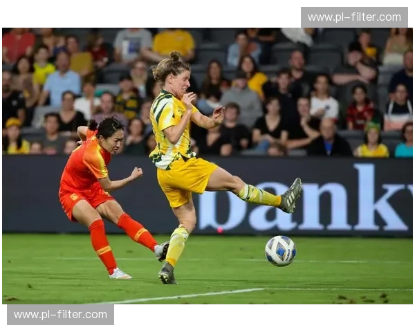 奥运会项目伤停名单：赛场背后的隐形变量与备战智慧